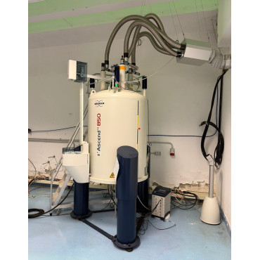 Bruker Ascend 850